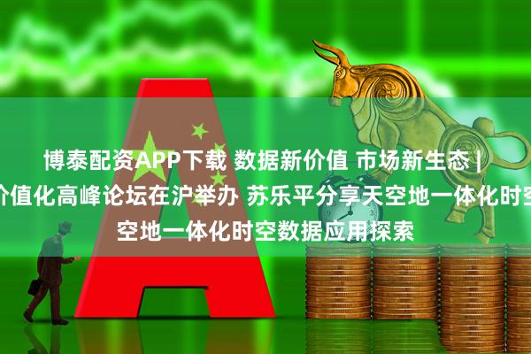 博泰配资APP下载 数据新价值 市场新生态 | 中国企业数据价值化高峰论坛在沪举办 苏乐平分享天空地一体化时空数据应用探索