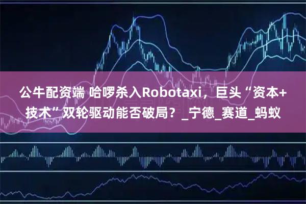 公牛配资端 哈啰杀入Robotaxi，巨头“资本+技术”双轮驱动能否破局？_宁德_赛道_蚂蚁