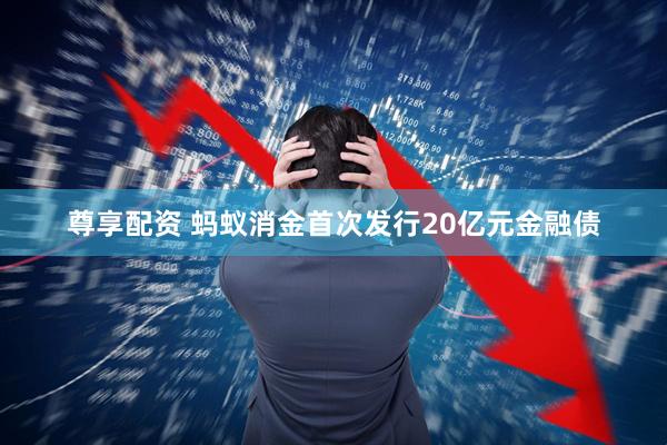 尊享配资 蚂蚁消金首次发行20亿元金融债