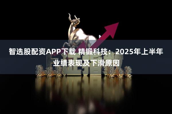 智选股配资APP下载 精锻科技：2025年上半年业绩表现及下滑原因