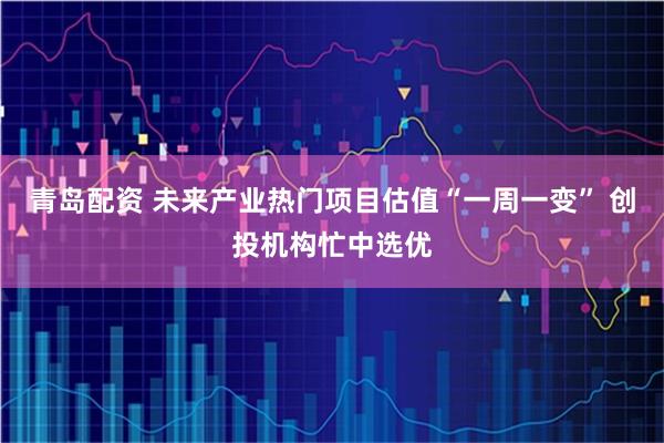 青岛配资 未来产业热门项目估值“一周一变” 创投机构忙中选优